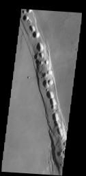 The complex fracture in this image captured by NASA's 2001 Mars Odyssey spacecraft is one of the many graben that surround Alba Mons.