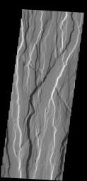 The complex fracture system in this image is part of Ceraunius Fossae, one of the fracture systems that surround Alba Mons as seen by NASA's 2001 Mars Odyssey spacecraft.