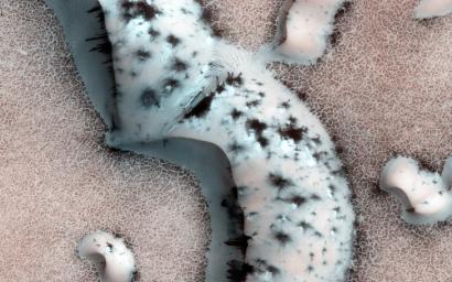 This image shows numerous dark shapes and bright spots on a sand dune in the Northern polar regions of Mars. This observation is from NASA's Mars Reconnaissance Orbiter.