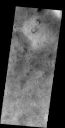 Looking at yet another portion of Utopia Planitia, NASA's 2001 Mars Odyssey spacecraft still find hundreds of dust devil tracks.