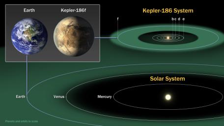 This diagram compares the planets of our inner solar system to Kepler-186, a five-planet star system about 500 light-years from Earth in the constellation Cygnus.