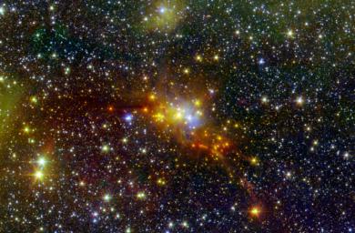 Studied by astronomers, Serpens Cloud Core is one of the youngest collections of stars ever seen in our galaxy. This infrared image combines data from NASA's Spitzer with shorter-wavelength observations from the Two Micron All Sky Survey.