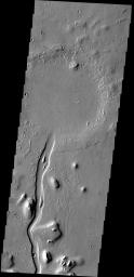 This image captured by NASA's 2001 Mars Odyssey spacecraft shows a portion of Hebrus Valles. The flow of liquid (water or lava) is from the bottom of the image into the circular feature, which was likely filled by the material from the channel.