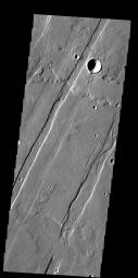 This image captured by NASA's 2001 Mars Odyssey spacecraft shows several of the graben (fault bounded depression) that are part of Acheron Catena.