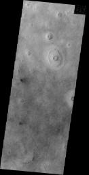 A multitude of dust devil tracks mark the suface in this region of Utopia Planitia. This image is from NASA's 2001 Mars Odyssey spacecraft.