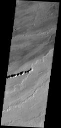 The lava flows in this image from NASA's 2001 Mars Odyssey spacecraft most likely originated from Ascraeus Mons, one of the large Tharsis volcanos.