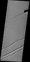 The depressions in this image captured by NASA's 2001 Mars Odyssey spacecraft are graben that make up part of Labeatis Fossae.