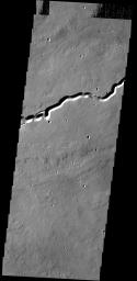 This image captured by NASA's 2001 Mars Odyssey spacecraft shows a portion of Patapsco Vallis, located on the eastern margin of the Elysium volcanic complex.