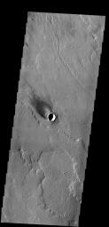 The windstreak in this image from NASA's 2001 Mars Odyssey spacecraft is located on Tharsis volcanic lava flows east of Olympus Mons.