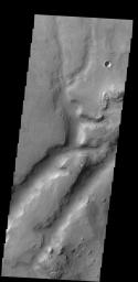 This complex channel is located in the Nili Fossae region as seen by NASA's 2001 Mars Odyssey spacecraft.