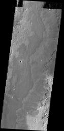 The lava flows in this image captured by NASA's 2001 Mars Odyssey spacecraft are located SE of Adams Crater.