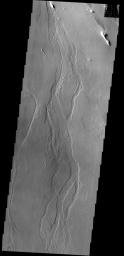 Given their location in the Tharsis volcanic complex, these channels were likely formed by the flow of lava rather than water in this image taken by NASA's 2001 Mars Odyssey spacecraft.