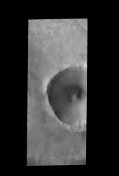 This image captured by NASA's 2001 Mars Odyssey spacecraft shows a sand sheet with a surface dune form, which partly surrounds the central peak of this unnamed crater near the north pole.