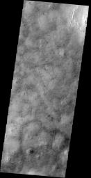 This image captured by NASA's 2001 Mars Odyssey spacecraft show the dark marks left behind after the passage of a dust devil cover this region of Utopia Planitia.