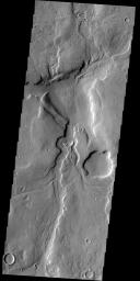 The unnamed channels in this image captured by NASA's 2001 Mars Odyssey spacecraft are located in northern Arabia Terra.