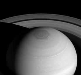 NASA's Cassini spacecraft captures three magnificent sights at once: Saturn's north polar vortex and hexagon along with its expansive rings.