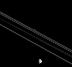Although Mimas and Pandora, shown here, both orbit Saturn, they are very different moons. The shapes of moons can teach us much about their history. This image is from NASA's Cassini spacecraft.