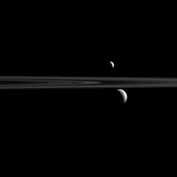 NASA's Cassini spacecraft captured Enceladus above the rings and Rhea below. The comparatively tiny speck of Atlas can also be seen just above and to the left of Rhea, and just above the thin line of Saturn's F ring.