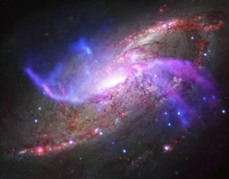Anomalous arms are seen in this composite image of NGC 4258 from NASA's Chandra X-ray Observator, NSF's Karl Jansky Very Large Array, NASA's Hubble Space Telescope and Spitzer Space Telescope.
