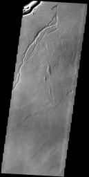 The channel at the very top of this image captured by NASA's 2001 Mars Odyssey spacecraft is Olympica Fossae. That and the rest of the channels in this image are likely lava channels.