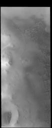 This image captured by NASA's 2001 Mars Odyssey spacecraft shows dunes on the margin of Olympia Undae, a large dune field near the north pole.