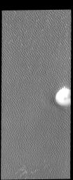 Dunes cover all but the highest hill of this image captured by NASA's 2001 Mars Odyssey spacecraft. These dunes are part of Olympia Undae, a huge dune field located near the north pole.