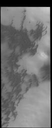 This image captured by NASA's 2001 Mars Odyssey spacecraft shows more north polar dunes.