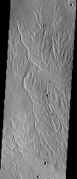 This image captured by NASA's 2001 Mars Odyssey spacecraft shows part of Rubicon Valles, a complex region of channels found on the northwestern flank of Alba Mons.