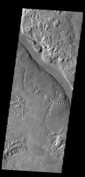 The channel in this image captured by NASA's 2001 Mars Odyssey spacecraft is a portion of Hrad Vallis.