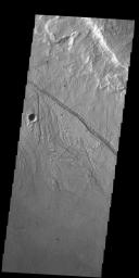 The small channels in this image from NASA's 2001 Mars Odyssey spacecraft are located within the much larger Kasei Valles channel.