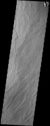 The lava flows in this image from NASA's 2001 Mars Odyssey spacecraft are part of Ascraeus Mons.