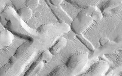 This observation from NASA's Mars Reconnaissance Orbiter shows an incredible diversity of ancient lava tubes and impact craters filled with sediment on the flank of Arsia Mons.