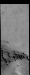 The small, dark dunes in this image captured by NASA's 2001 Mars Odyssey spacecraft are located on the northern plains.