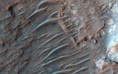 The tropics of Mars are commonly littered with small bright ripples that were somehow shaped by the wind. NASA's Mars Reconnaissance Orbiter might provide a valuable clue to the formation of transverse aeolian ridges (TARs) elsewhere on Mars.