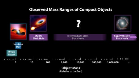 This chart illustrates relative masses of super-dense cosmic objects, ranging from white dwarfs to supermassive black holes encased in the cores of most galaxies. The first three 'dead' stars (left) all form when stars more massive than our sun explode.
