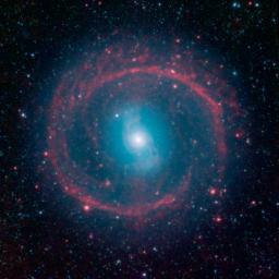 This image from NASA's Spitzer Space Telescope shows where the action is taking place in galaxy NGC 1291. The outer ring, colored red, is filled with new stars that are igniting and heating up dust that glows with infrared light.