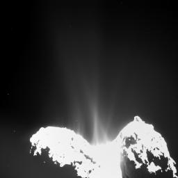 This image was taken by the Optical, Spectroscopic, and Infrared Remote Imaging System, Rosetta's main onboard scientific imaging system, on Sept. 10, 2014. Jets of cometary activity can be seen along almost the entire body of the comet.