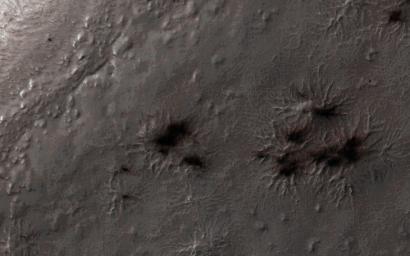 This was the first image to be acquired by NASA's Mars Reconnaissance Orbiter after the sun rose on Inca City, marking the end to polar night. A few fans are visible emerging from the araneiforms.