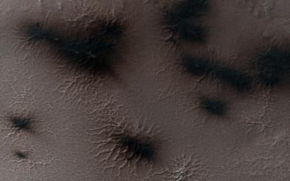 The season is officially spring on Mars in Inca City. This image was acquired by NASA's Mars Reconnaissance Orbiter. Large blotches of dust cover the araneiforms.