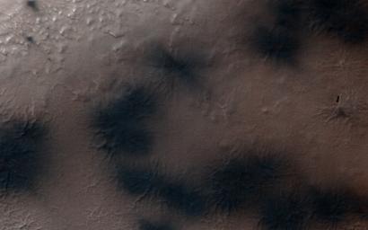 This image, acquired by NASA's Mars Reconnaissance Orbiter, shows there are a few more fans on the ridge as spring activity progresses in Inca City.