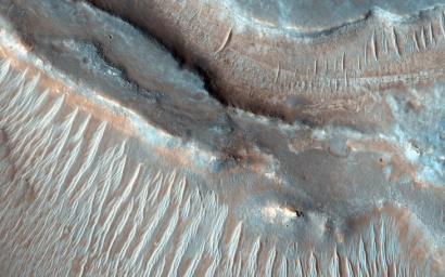 Transverse aeolian ridges (TARs) are commonly found throughout the Martian tropics, including rocky regions such as Syrtis Major that are largely devoid of dust as seen by NASA's Mars Reconnaissance Orbiter.