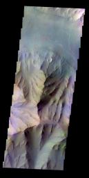 The THEMIS VIS camera contains 5 filters. The data from different filters can be combined in multiple ways to create a false color image. This false color image captured by NASA's 2001 Mars Odyssey spacecraft shows part of Coprates Chasma.