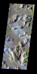 The THEMIS VIS camera contains 5 filters. The data from different filters can be combined in multiple ways to create a false color image. This false color image from NASA's 2001 Mars Odyssey spacecraft shows part of Sulci Gordii east of Olympus Mons.
