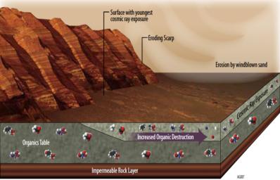 This illustration portrays some of the reasons why finding organic chemicals on Mars is challenging. Whatever organic chemicals may be produced on Mars or delivered to Mars face several possible modes of being transformed or destroyed.