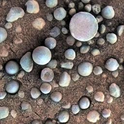 These small spherules on the Martian surface are near Fram Crater, visited by NASA's Mars Exploration Rover Opportunity during April 2004. The area shown is 1.2 inches (3 centimeters) across.