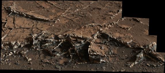 This March 18, 2015, view from the Mast Camera on NASA's Curiosity Mars rover shows a network of two-tone mineral veins at an area called 'Garden City' on lower Mount Sharp.