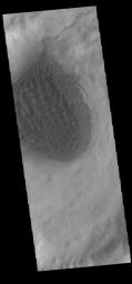 This image captured by NASA's 2001 Mars Odyssey spacecraft shows the dune field located in the floor of Matara Crater.