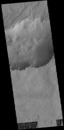 Numerous gullies are visible in this image captured by NASA's 2001 Mars Odyssey spacecraft of Asimov Crater.