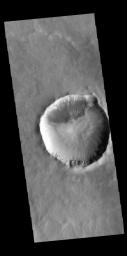 This image captured by NASA's 2001 Mars Odyssey spacecraft show numerous gullies dissect the rim of this unnamed crater in Terra Cimmeria.