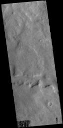 This image captured by NASA's 2001 Mars Odyssey spacecraft shows a section of Tader Valles located in Terra Sirenum.